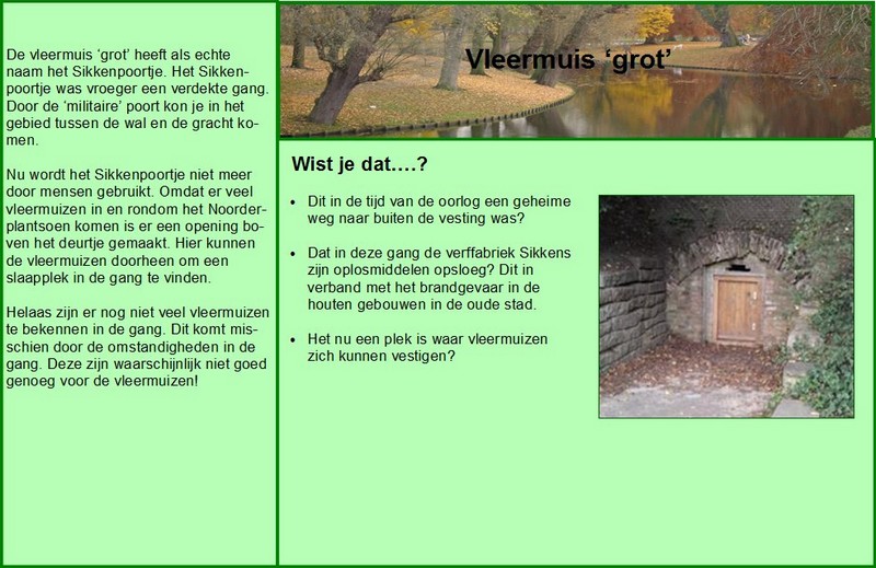 Vleermuis grot