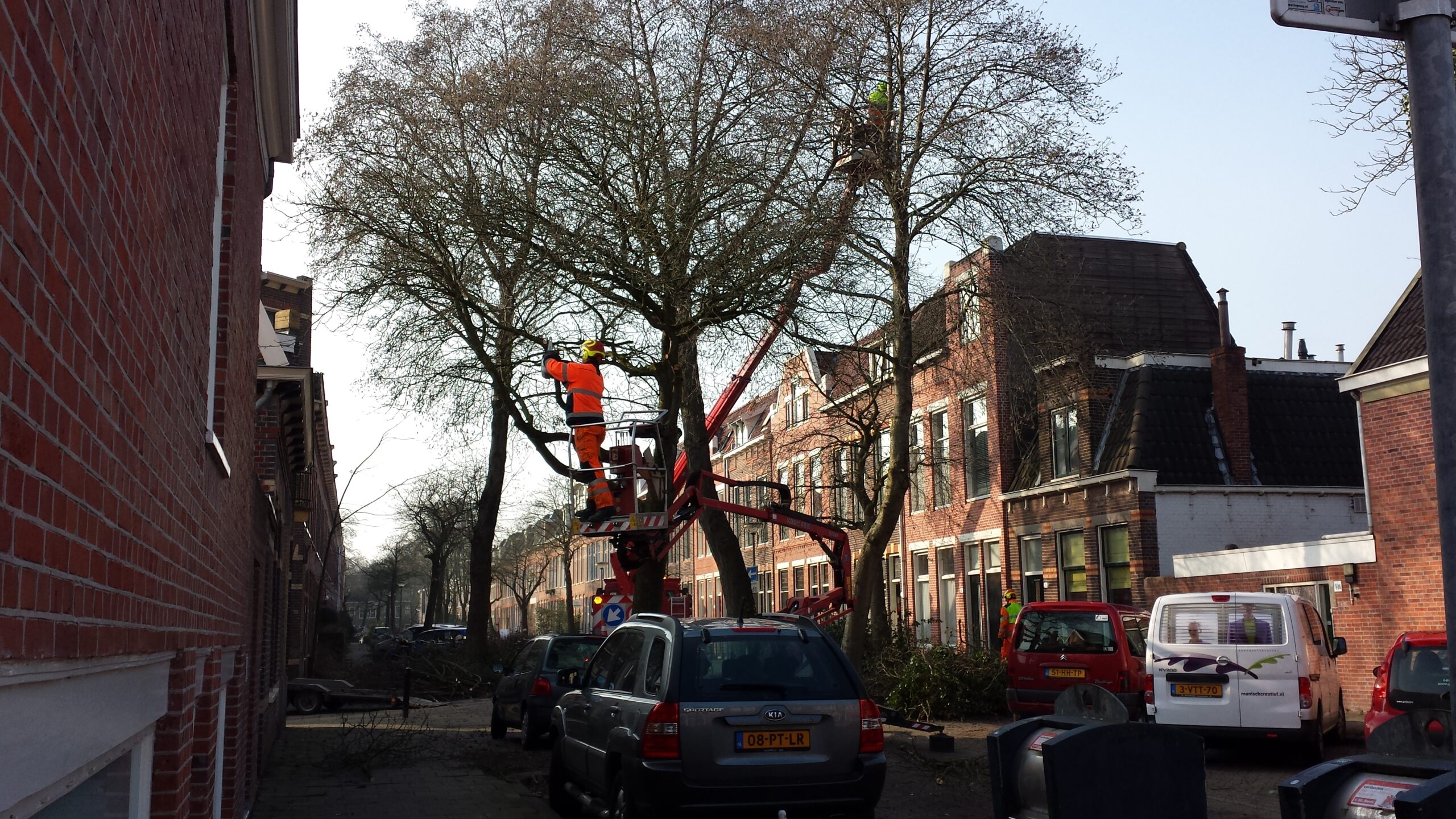 Snoeiwerkzaamheden in de buurt