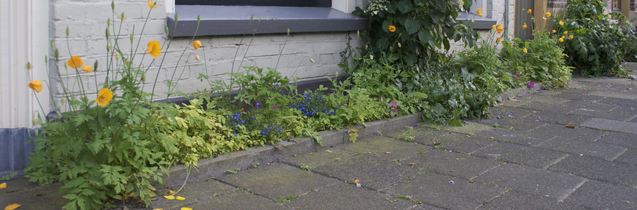 Vergulde tuinschep geveltuinentelling foto