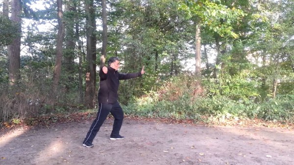 Tai Chi Chuan en Qigong in het Noorderplantsoen