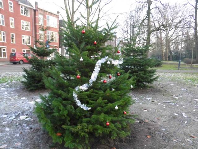 Kerstbomen duur dit jaar?