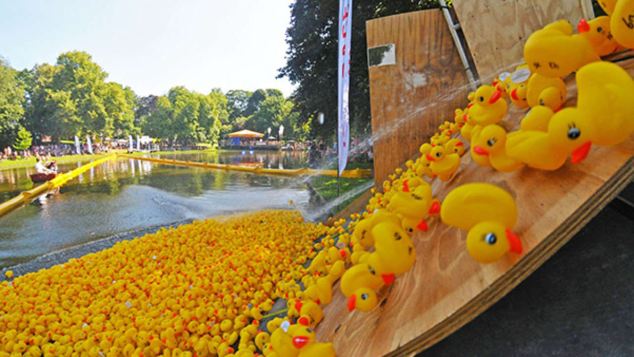 Badeendjes nemen Noorderplantsoen over tijdens Duckrace