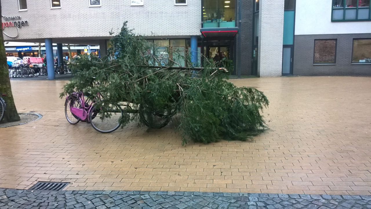 Dronken studenten kappen kerstboom in Noorderplantsoen