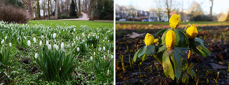 Bijna lente!