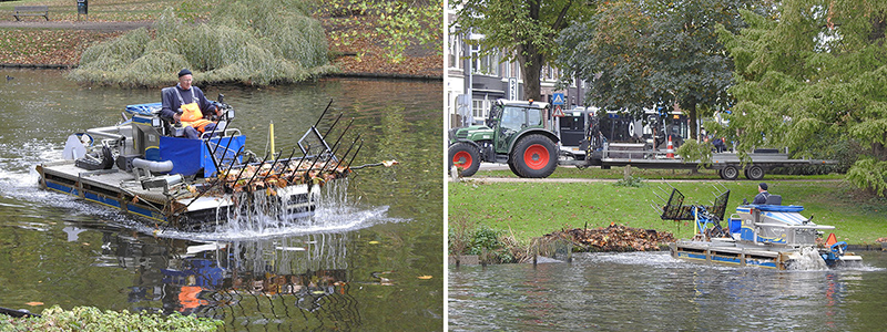 Schoonmaak Noorderplantsoenvijvers