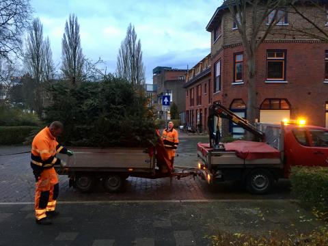 alle afvalwijzer kerstbomen