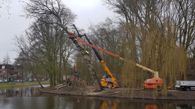 “Wij verwijderen alleen bomen als het echt niet anders kan.”