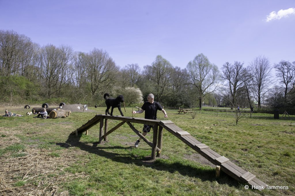 Hondenspeelplek in het Stadspark klaar!