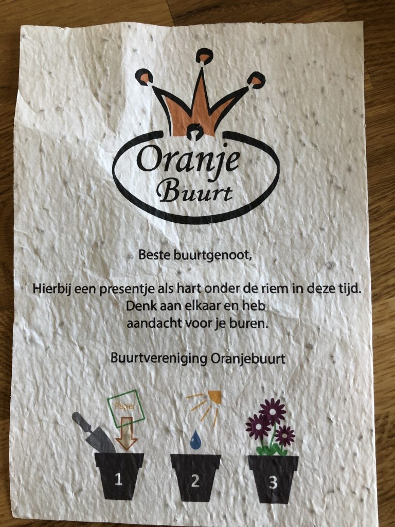 oranjebuurt zaadjes 768x1024