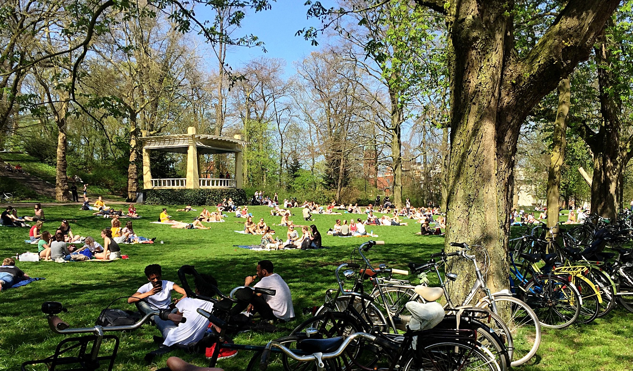 Drukte Noorderplantsoen 1.1