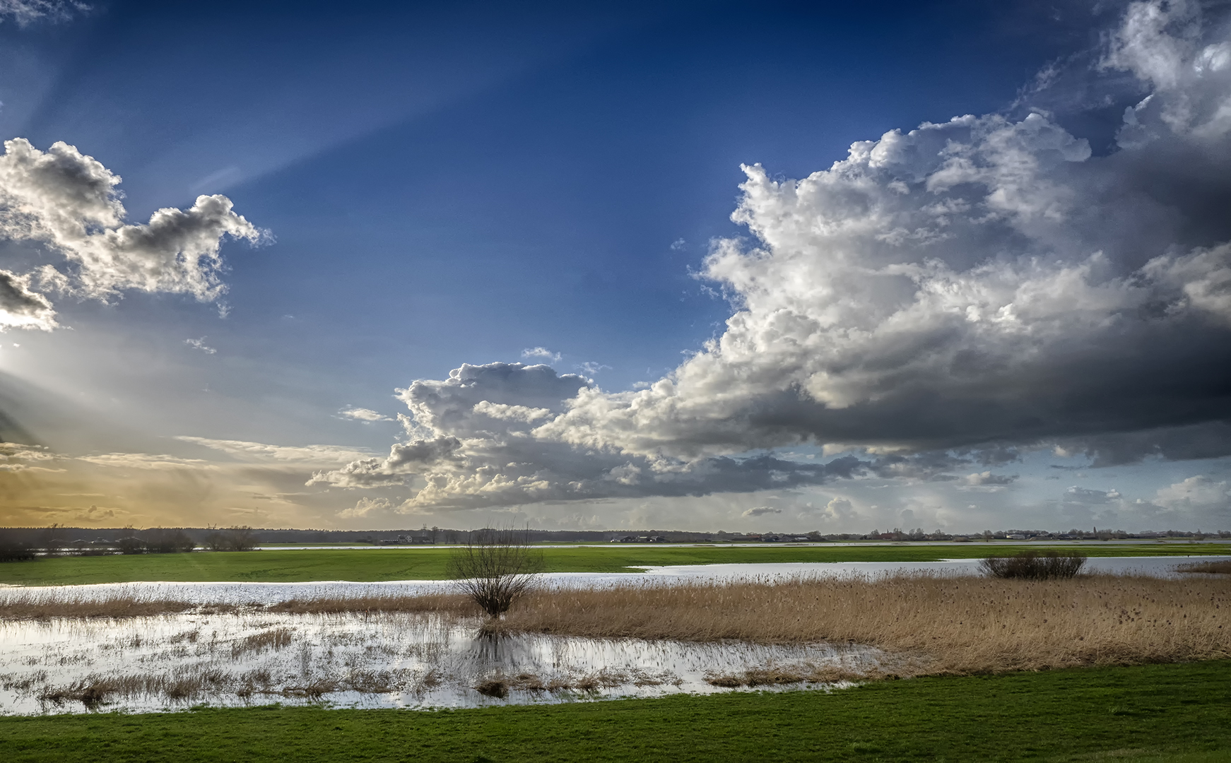 Hondsdagen starten met wisselvallig weer