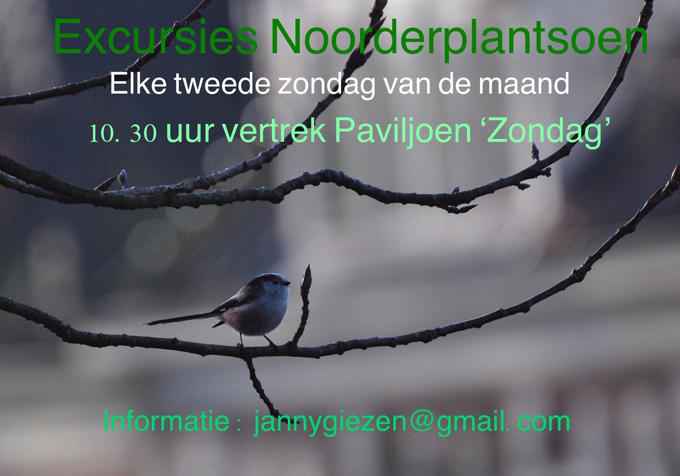 excursies Noorderplantsoen