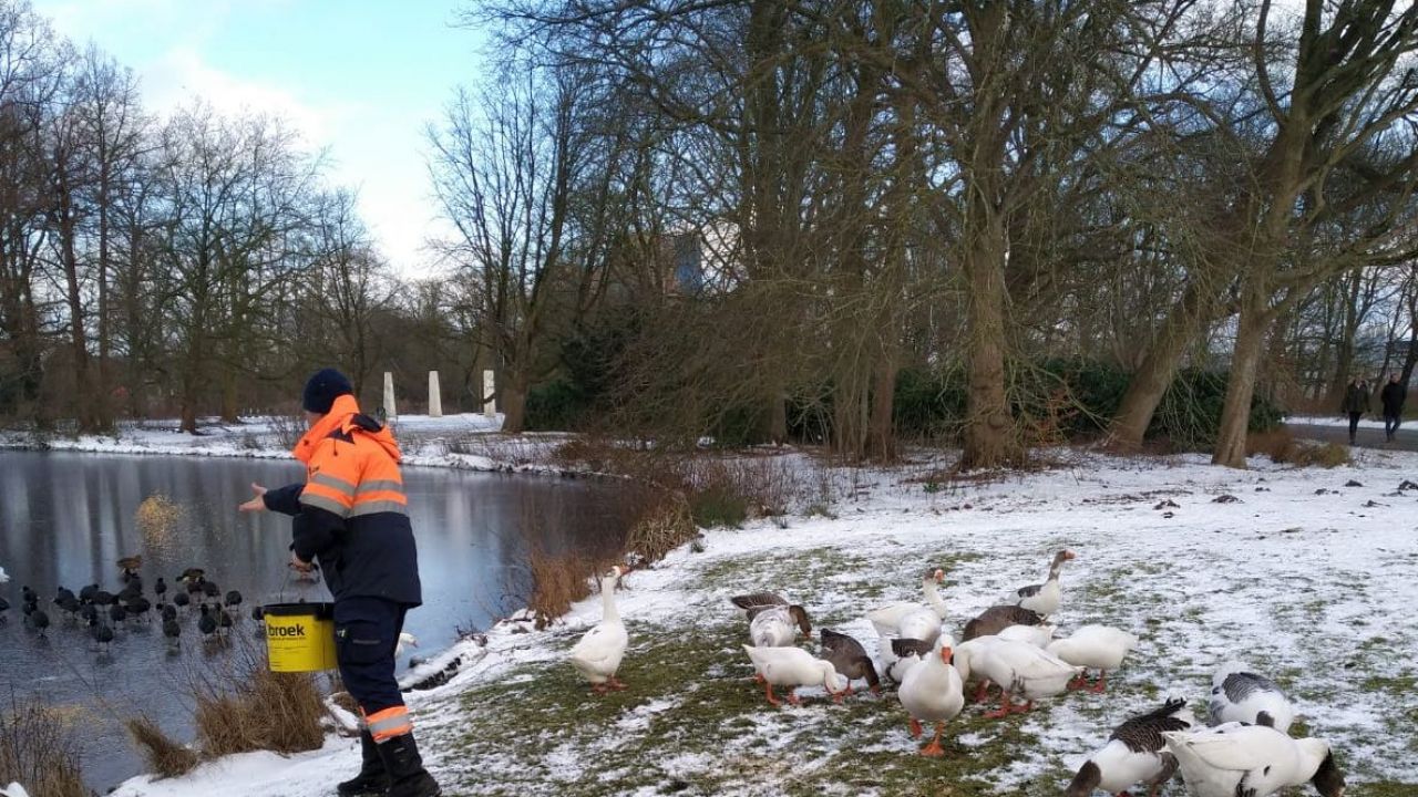 Winterkou: gemeente houdt wakken open