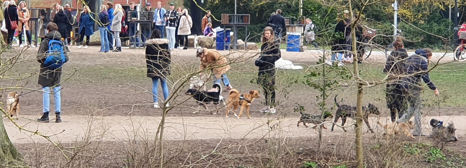 Euforische vreugde bij actiegroep tegen ‘blaftaks’