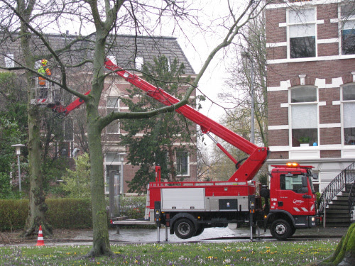 Kaart kapprogramma bomen, onderhoudsprojecten en herplantlocaties