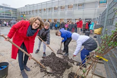 klimaatbestendige en uitnodigende schoolpleinen