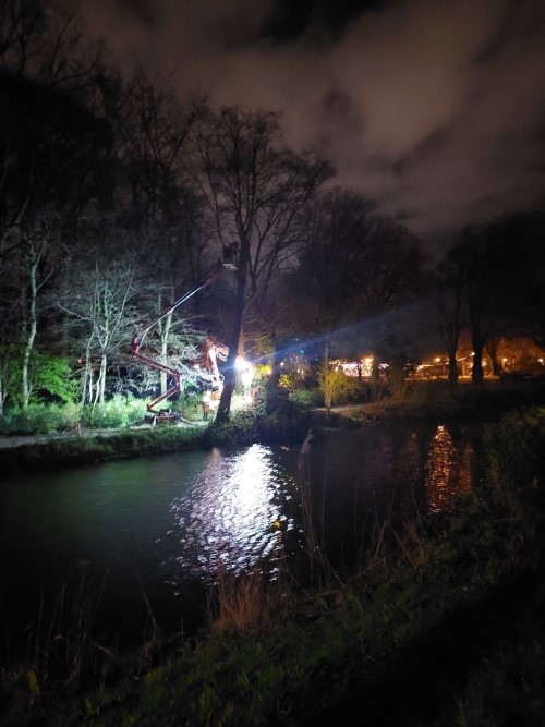 Nachtelijk verwijderen van bomen in Noorderplantsoen