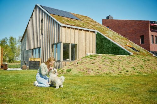 Subsidie voor verkoelend groen dak