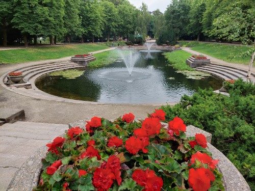 Najaarsschoonmaak Noorderplantsoen