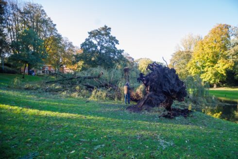 Treurwilgreus legt loodje in Noorderplantsoen