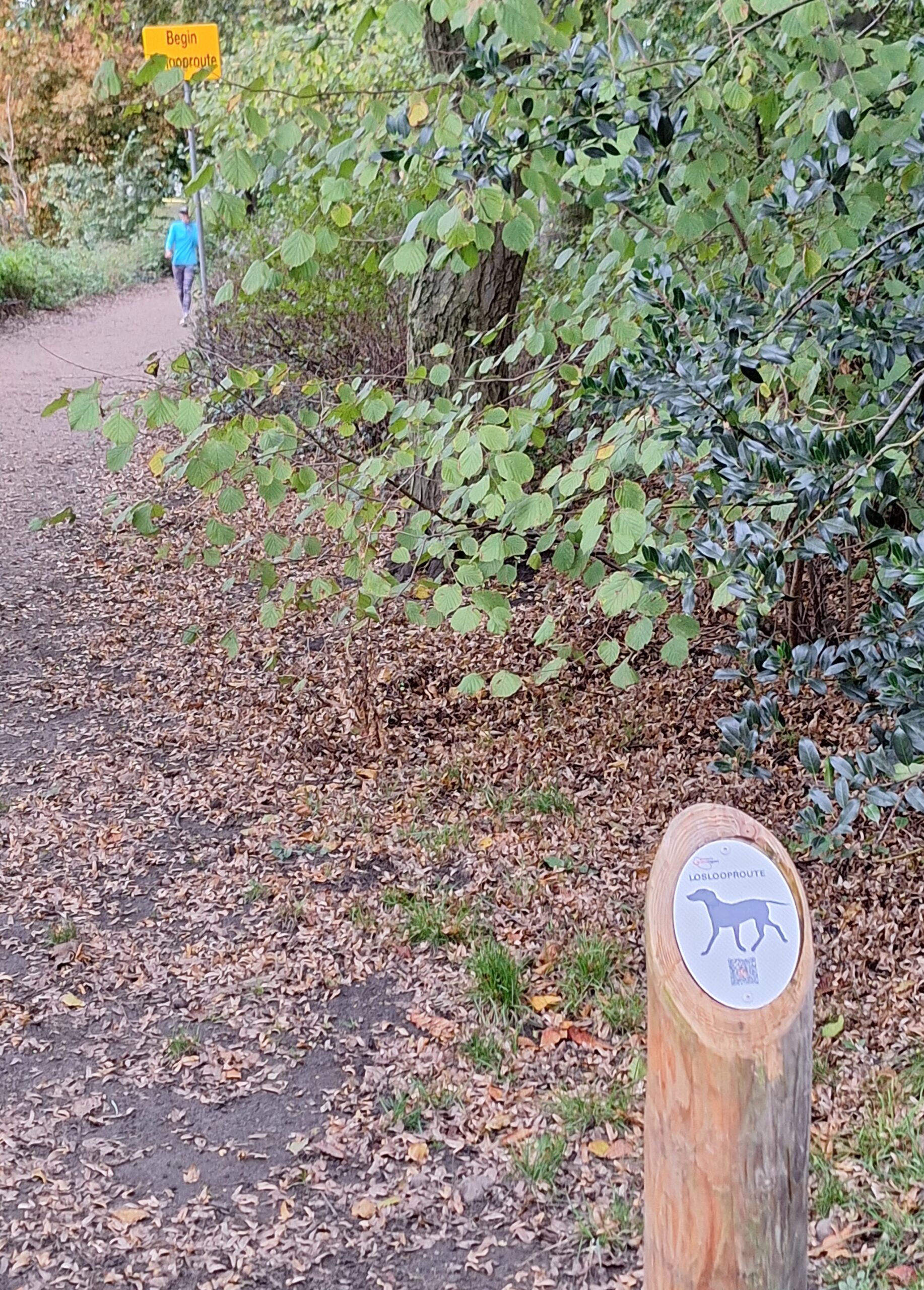 Extra aandacht voor losloopgebieden honden in Noorderplantsoen