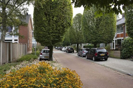 Nieuwe bezoekersvergunning parkeren nu aanvragen